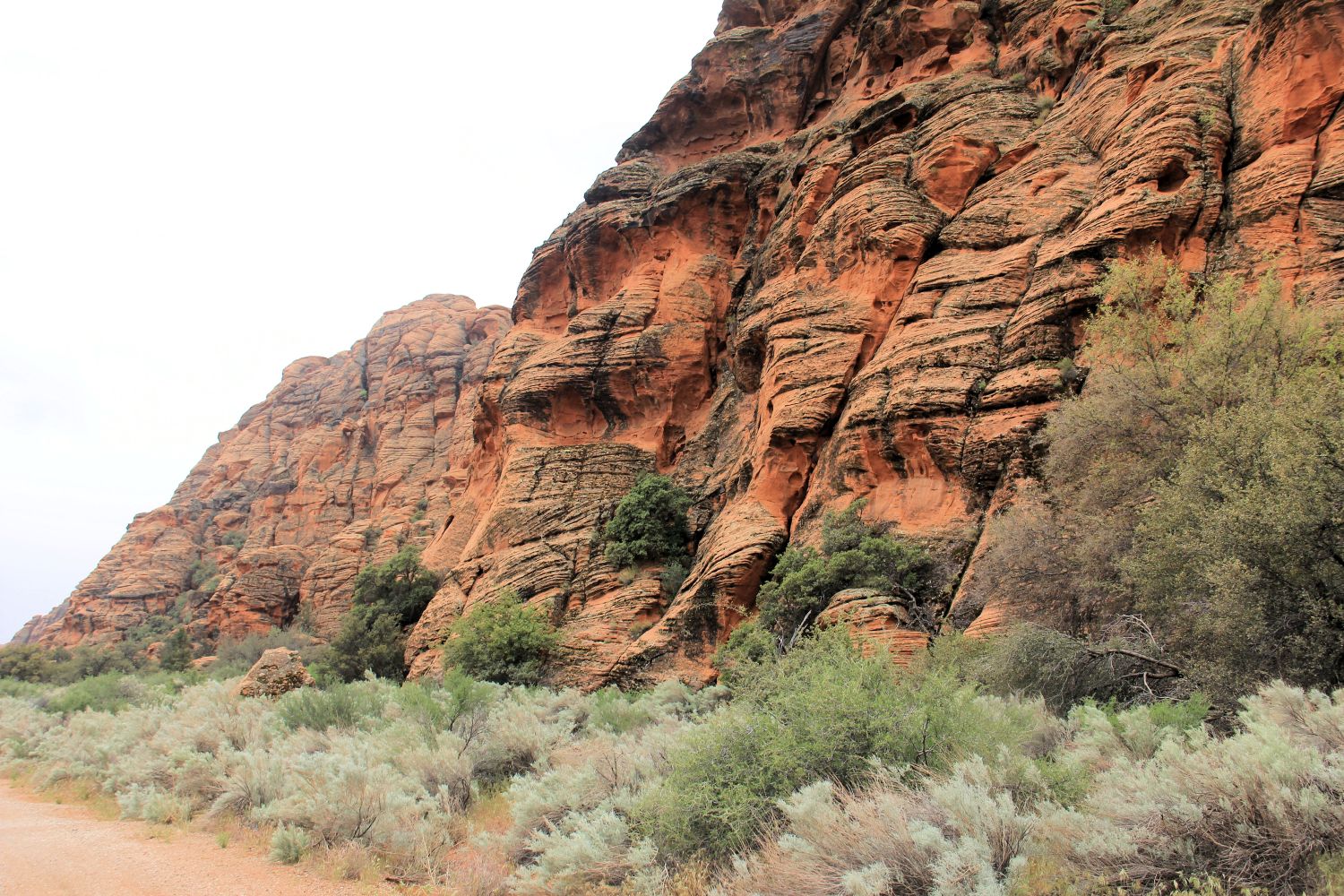 Snow Canyon State Park 